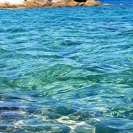 Studio Wilem Σάρτη Εξωτερικό φωτογραφία