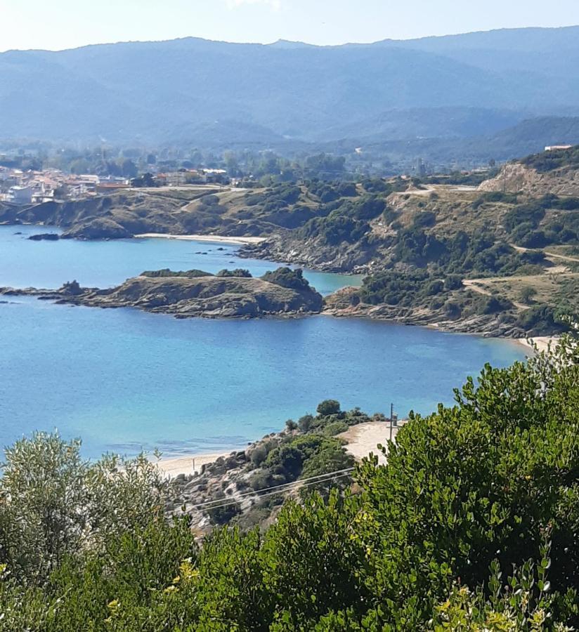 Studio Wilem Σάρτη Εξωτερικό φωτογραφία