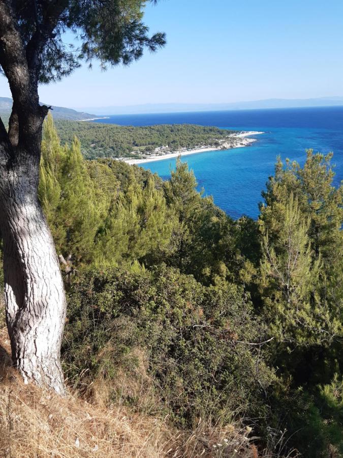 Studio Wilem Σάρτη Εξωτερικό φωτογραφία
