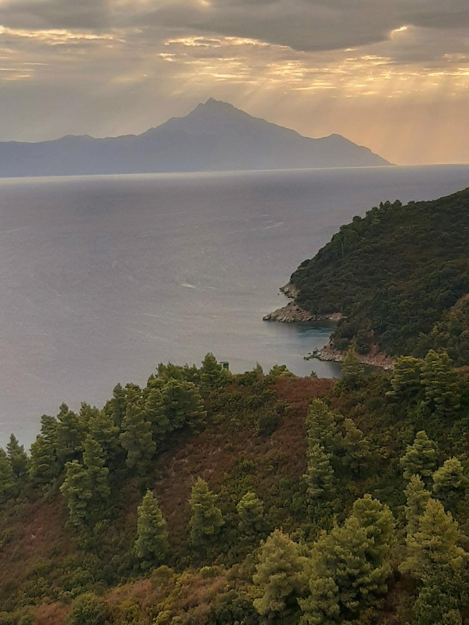 Studio Wilem Σάρτη Εξωτερικό φωτογραφία